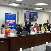 Mesa Audiência Pública AL RS