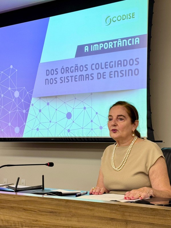 Painel sobre a importância dos Conselhos